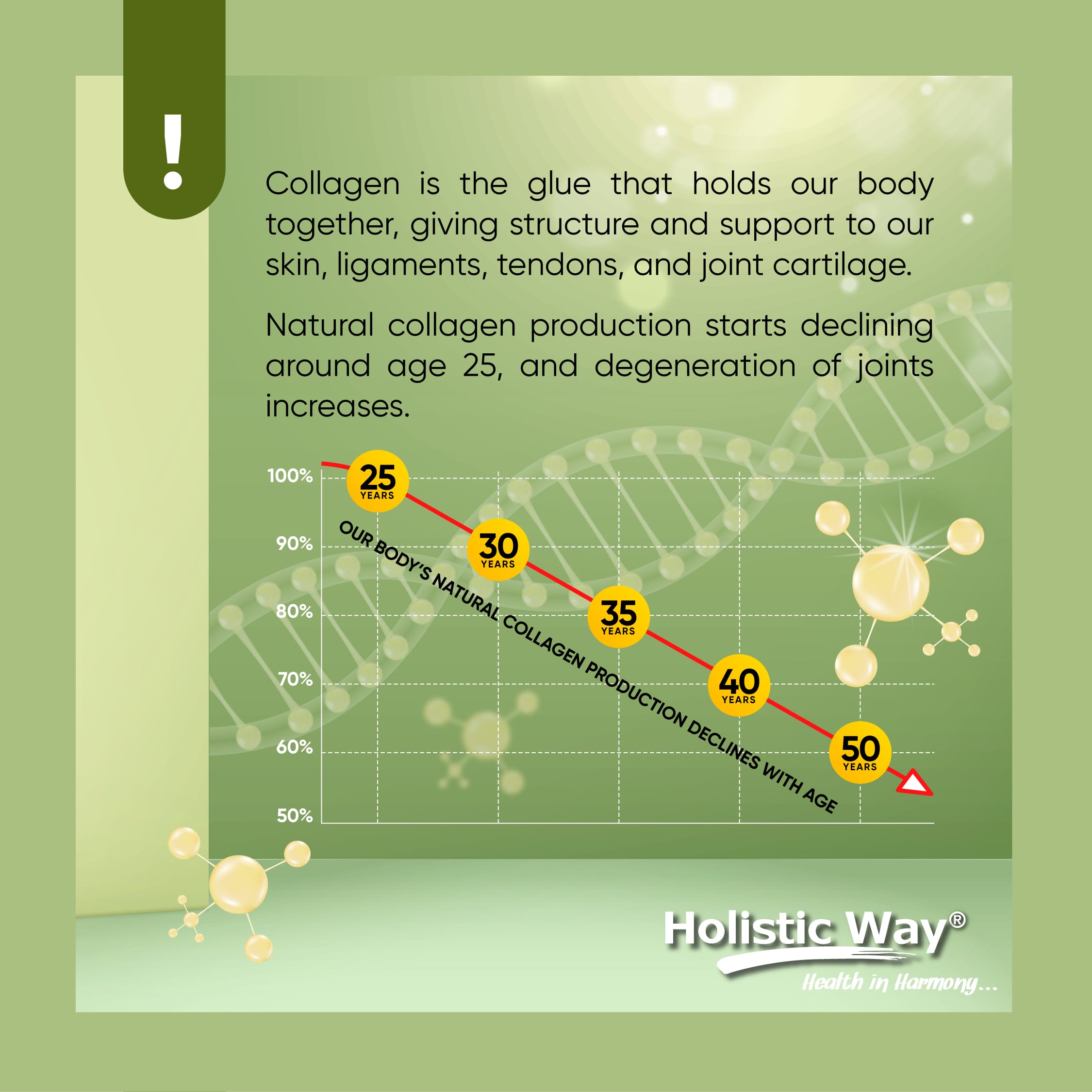 20231121_holisticway_inforgraphic_joint_collagen_2-min-min